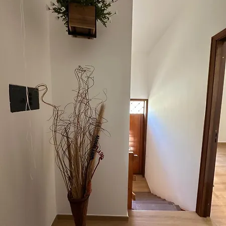 Casa Tiziana Holiday home